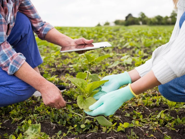 Advanced Agronomist training programs | Mishkat Services