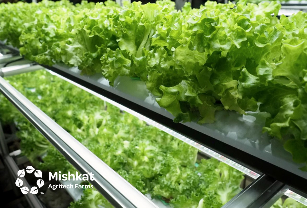 Aquaponics business plan