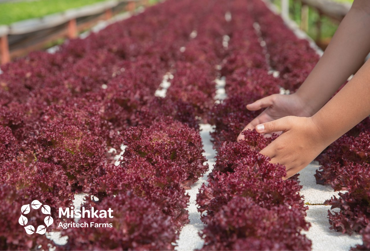 Aquaponics business plan