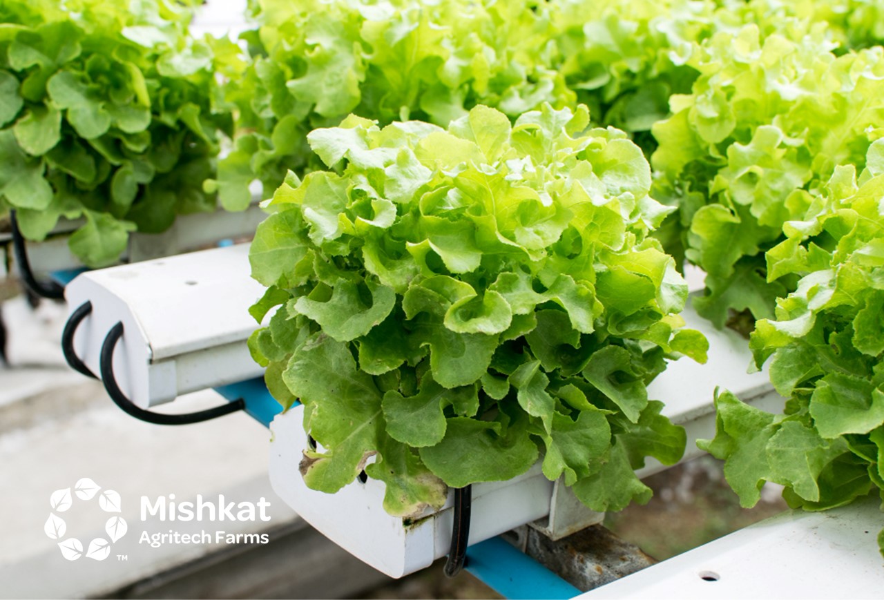 ادارة المزارع