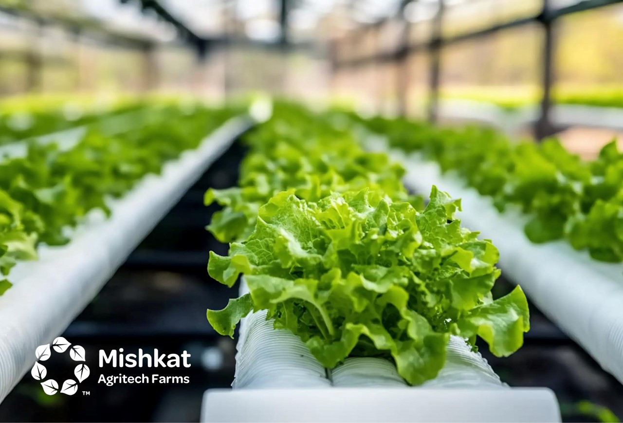 ادارة المزارع