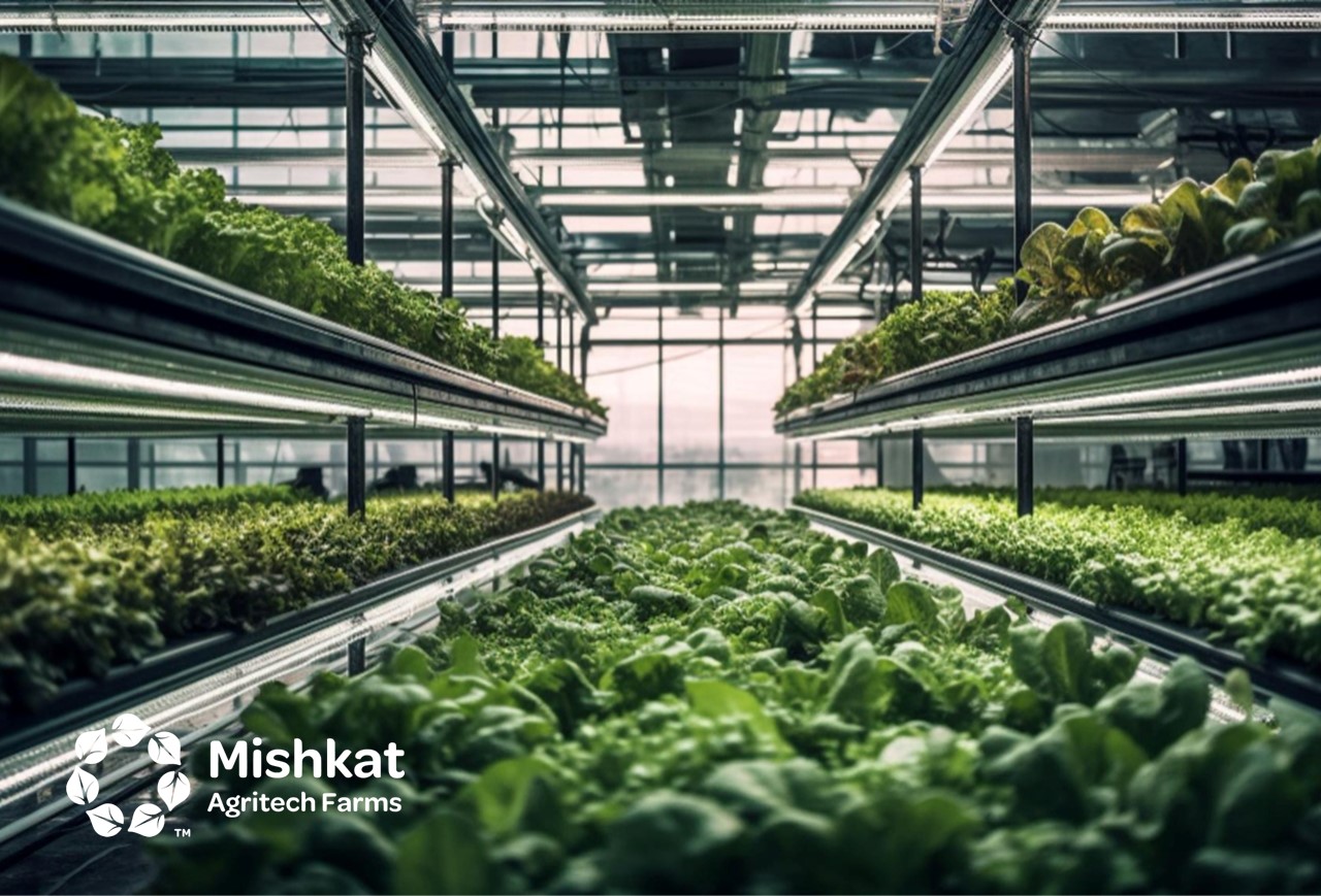 Vertical farming guide for Saudi growers and investors
الزراعة العمودية في السعودية: من الفكرة إلى مشروع مربح