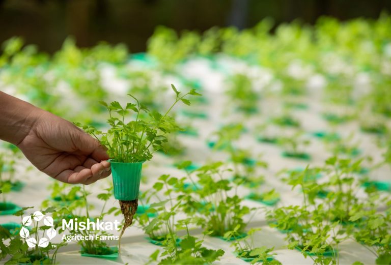 Vertical hydroponics. Hydroponic farming