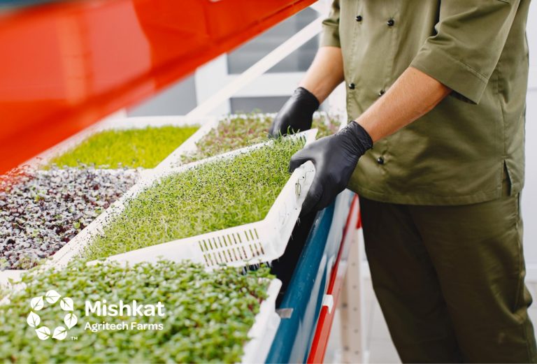 تقنيات الزراعة الحديثة في السعودية