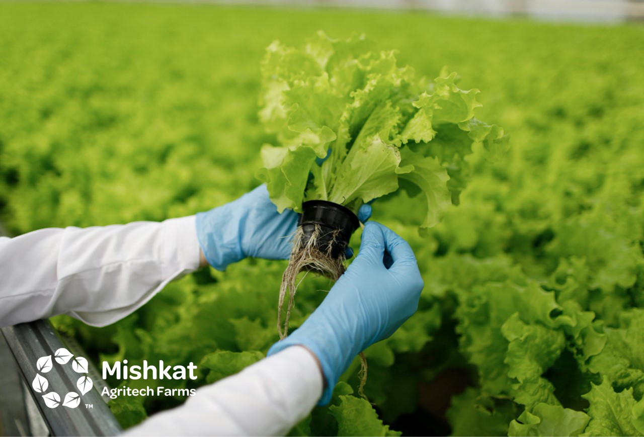 الشركات الزراعية في السعودية