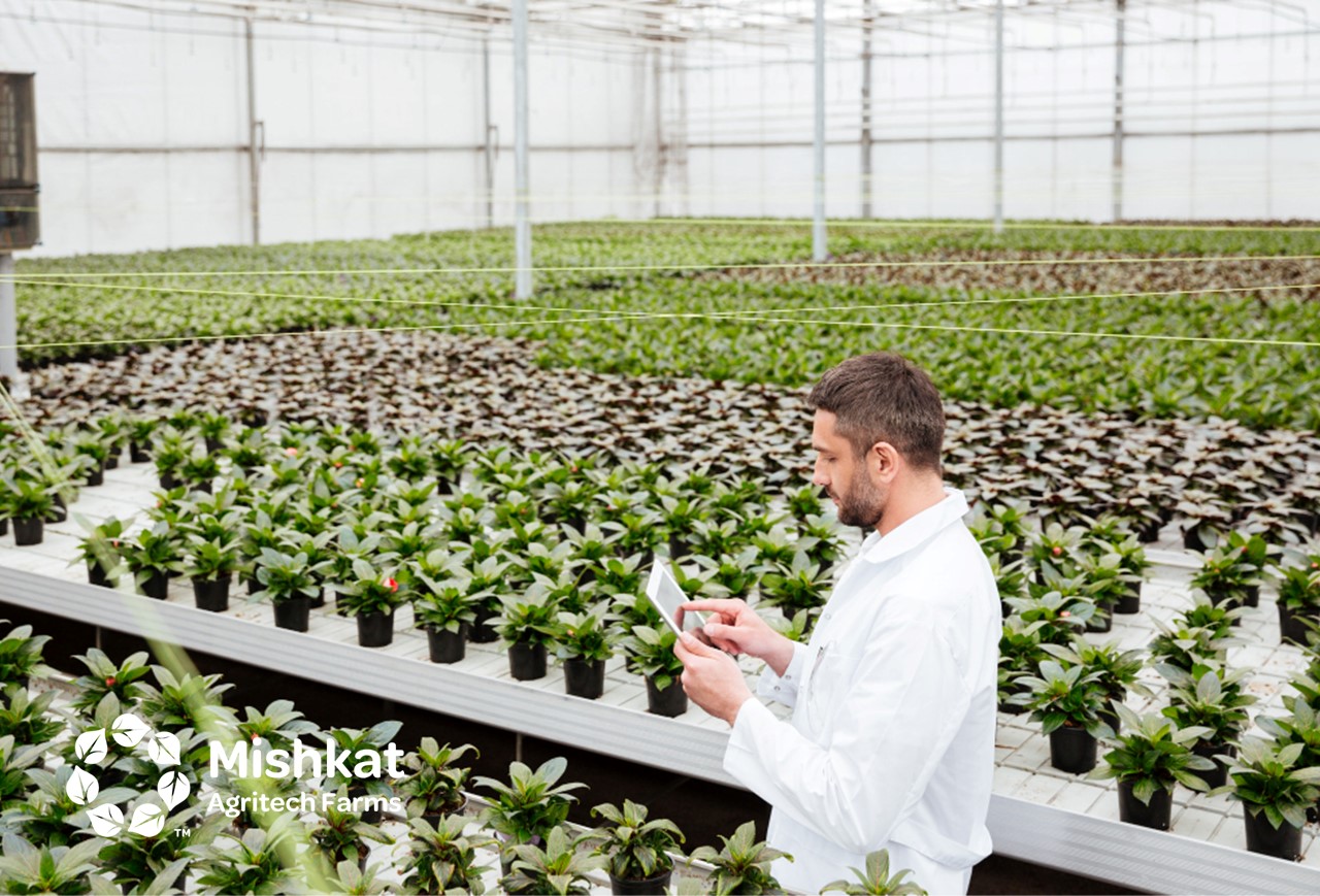 الزراعة الذكية في السعودية: دليل المستثمر والبيت المحمي