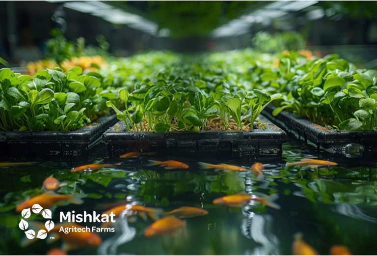 Hydroponics guide for investors & growers in Saudi Arabia دليل متقدم حول هيدروبونيك الزراعة المائية في السعودية