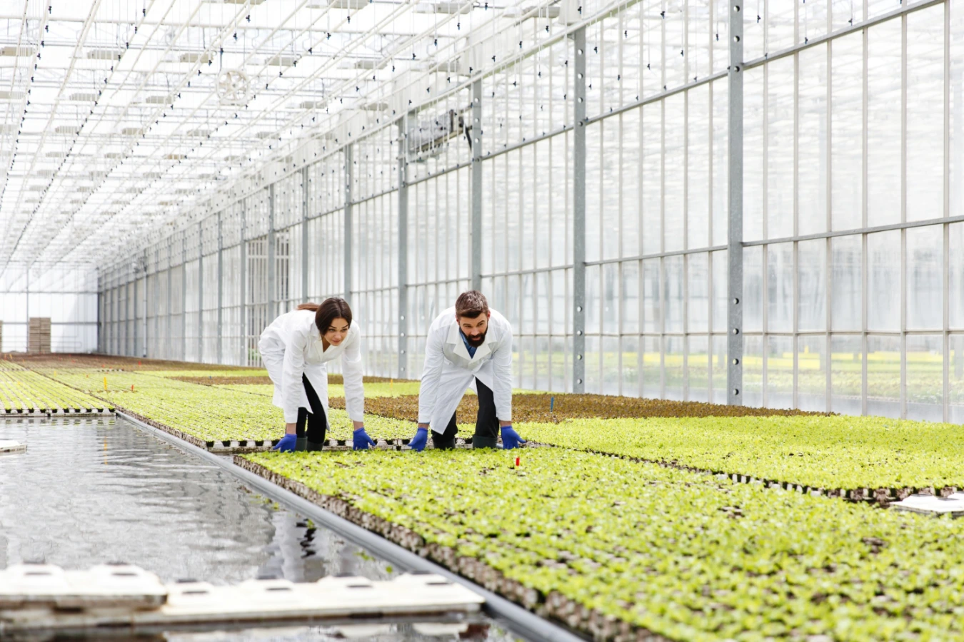 Unlocking Aquaponics Farming Potential for Farm Owners in 2026